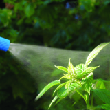 HERBIFIX® L