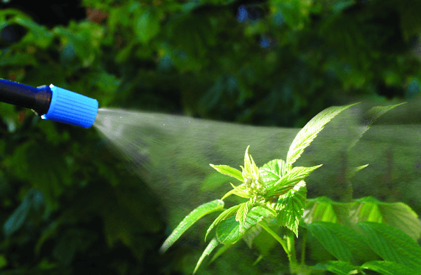 HERBIFIX® L