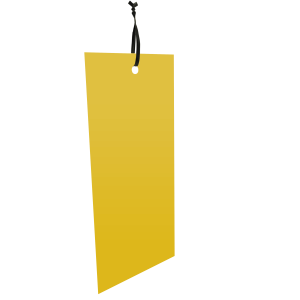 PIÈGE À GLU